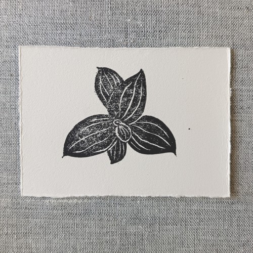 Prints 01, Plantago — paper print
