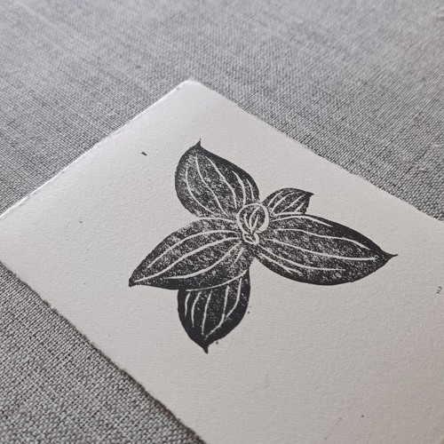 Prints 01, Plantago — paper print, dancing leaves